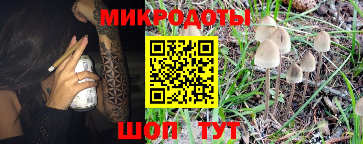 Галлюциногенные грибы Psilocybine cubensis  Вход с VPN  Домодедово 
